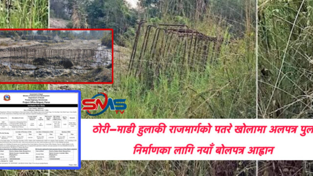ठोरी–माडी हुलाकी राजमार्गको पतरे खोलामा पुल निर्माणका लागि नयाँ बोलपत्र आह्वान